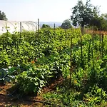 Agriresort Tenuta Ranieri Çiftlik konaklama