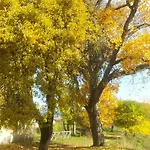 Agriresort Tenuta Ranieri Farmház Camigliatello Silano