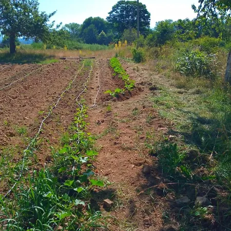 Agriresort Tenuta Ranieri Farm stay