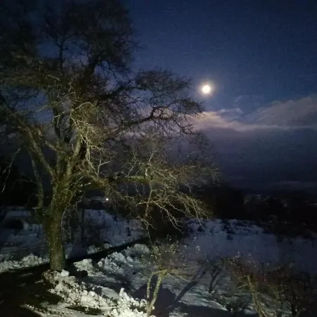 مزرعة للإقامة Agriresort Tenuta Ranieri *