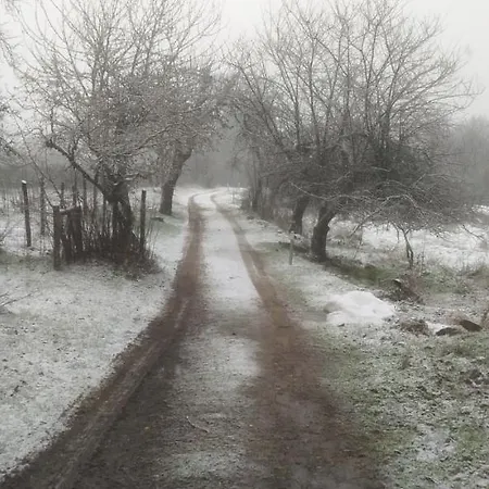 مزرعة للإقامة Agriresort Tenuta Ranieri *