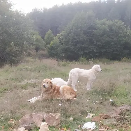 Agriresort Tenuta Ranieri *