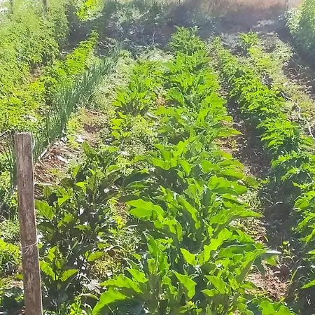 Agriresort Tenuta Ranieri Farm stay