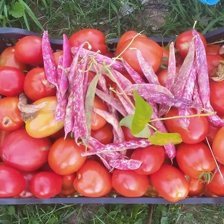 Agriresort Tenuta Ranieri مزرعة للإقامة