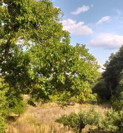 Agriresort Tenuta Ranieri Farm stay *