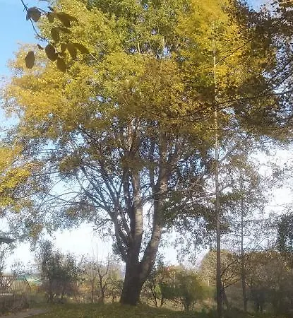 Agriresort Tenuta Ranieri Bauernhof