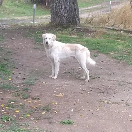 Agriresort Tenuta Ranieri Camigliatello Silano