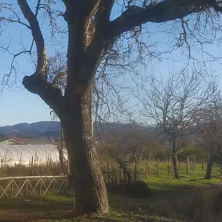 Agriresort Tenuta Ranieri Farm stay *