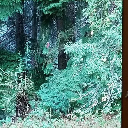 Agriresort Tenuta Ranieri Bauernhof Camigliatello Silano