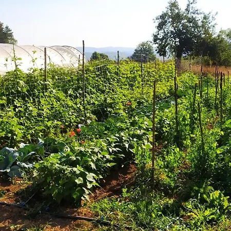 Agriresort Tenuta Ranieri مزرعة للإقامة