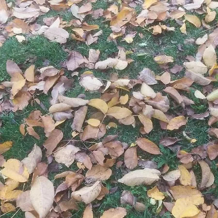 Agriresort Tenuta Ranieri