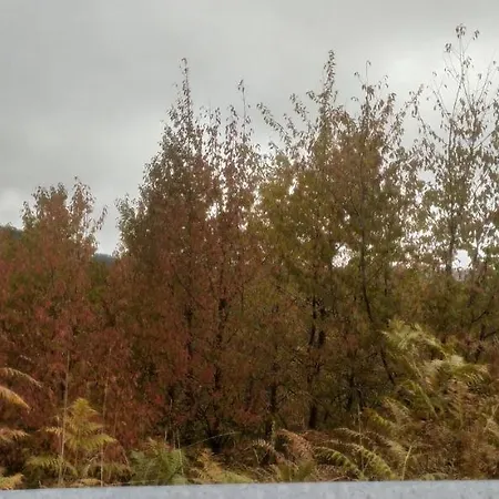 مزرعة للإقامة Agriresort Tenuta Ranieri