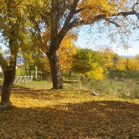 Bauernhof Agriresort Tenuta Ranieri *