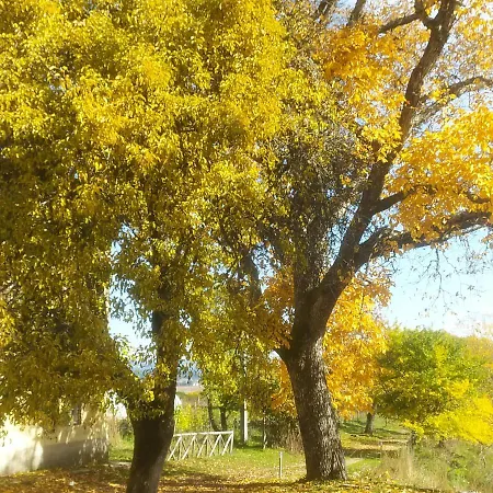 Agriresort Tenuta Ranieri Bauernhof Camigliatello Silano