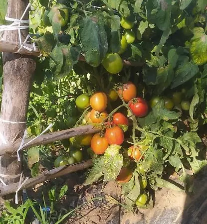 Bauernhof Agriresort Tenuta Ranieri Camigliatello Silano