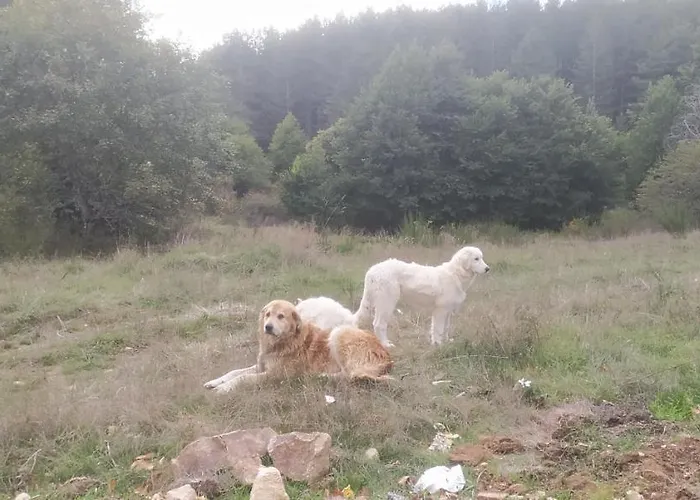 Agriresort Tenuta Ranieri *