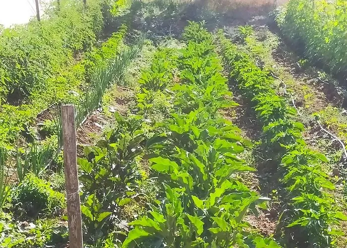 Agriresort Tenuta Ranieri Farmház