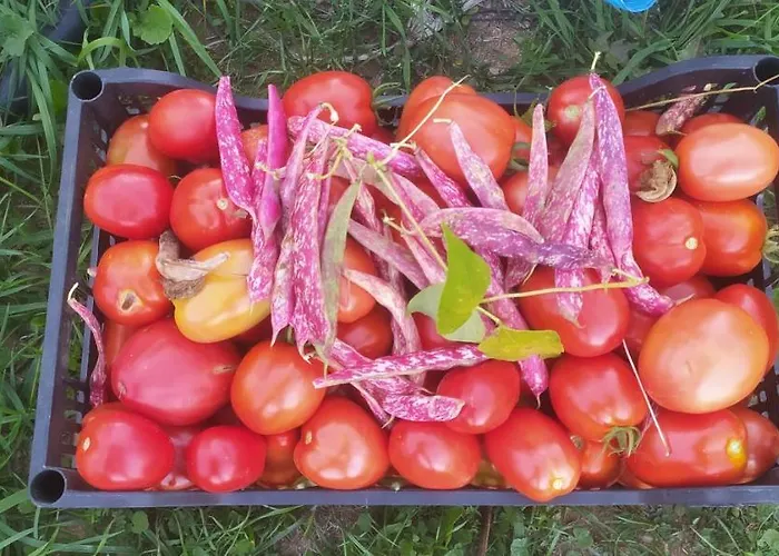 Agriresort Tenuta Ranieri Farmház