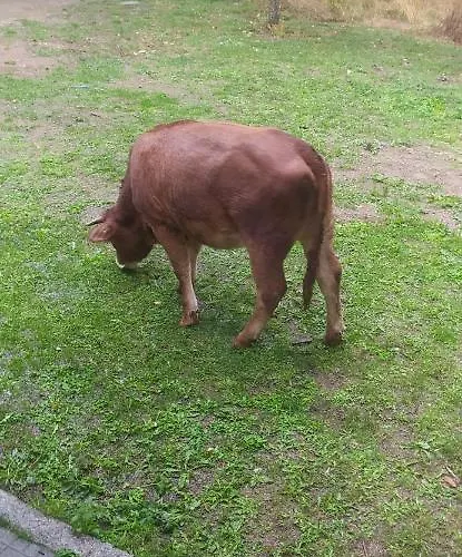 Farmház Agriresort Tenuta Ranieri Camigliatello Silano