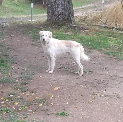 Agriresort Tenuta Ranieri Camigliatello Silano