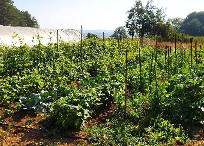 Agriresort Tenuta Ranieri Farmház