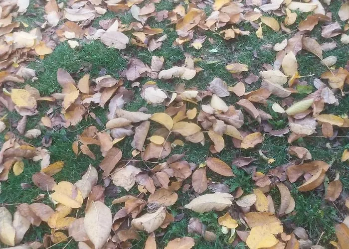 Agriresort Tenuta Ranieri