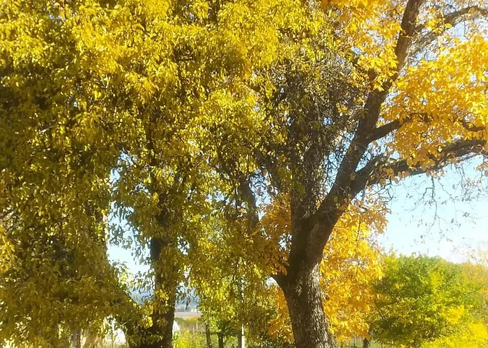 Agriresort Tenuta Ranieri Farmház Camigliatello Silano