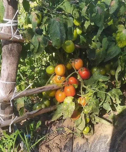 Farmház Agriresort Tenuta Ranieri Camigliatello Silano